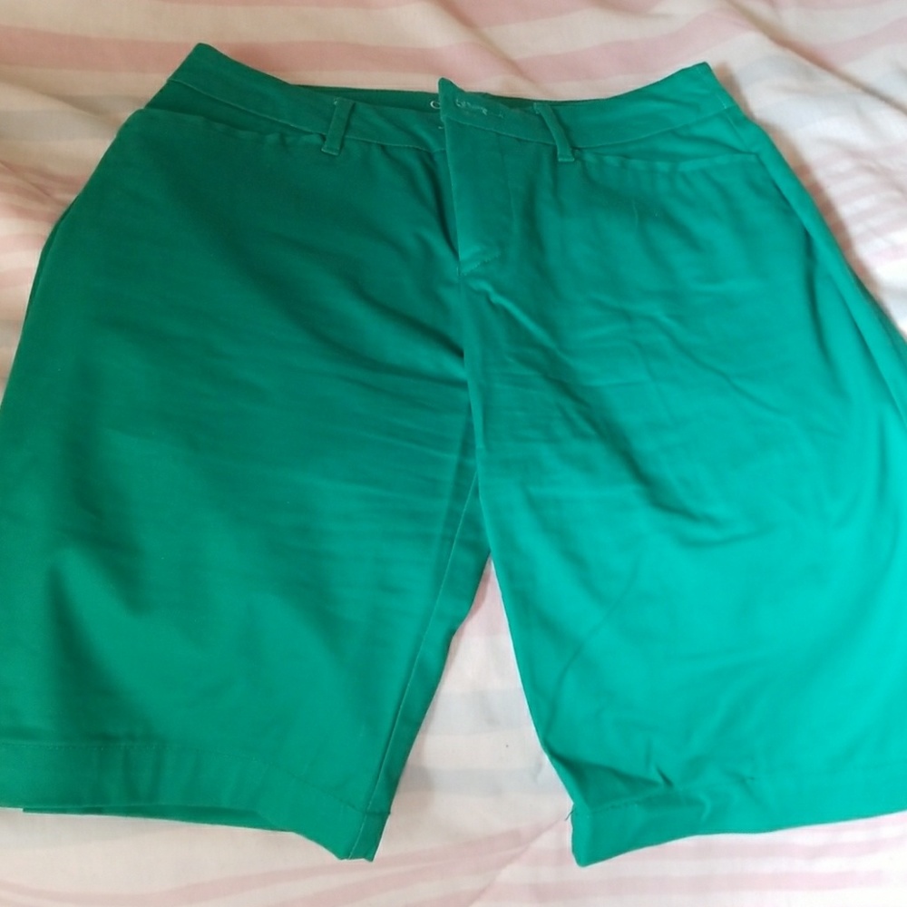 ⬇️Bermuda shorts nwot